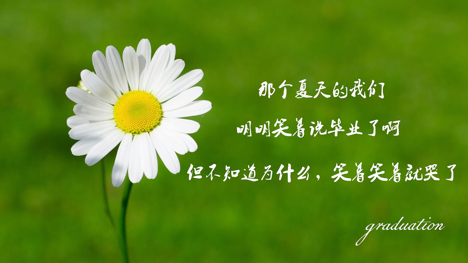 “青训合作基地在边远地区落成,助力基层足球发展”,青训足球俱乐部怎么招生