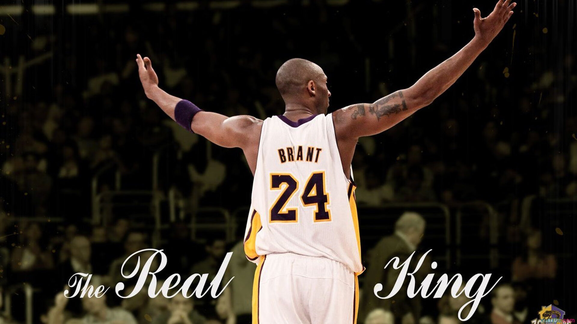 世界杯现场：惊喜不断，精彩不断，世界杯精彩片段视频