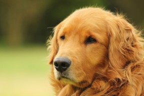 爱游戏电竞同步-传统民族投壶比赛，文化传承中的运动魅力，投壶的玩法和规则