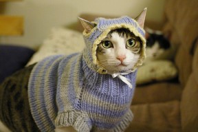 爱游戏app-勇士球员穆迪进军好莱坞，参与拍摄运动励志片，勇士穆尔的个人资料