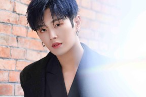 ayx爱游戏官网-女子网球名将宣布退役，30岁终结辉煌职业生涯，女子网球退赛