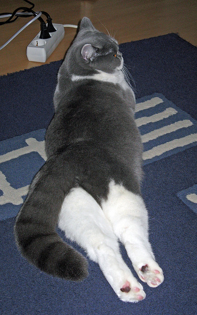 中国足球场地设施标准化方案制定完成,中国 标准足球场